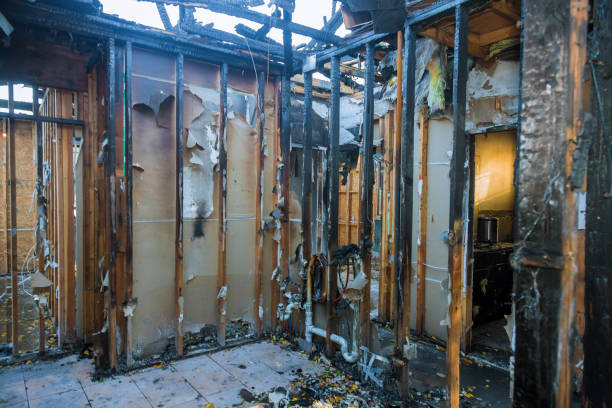 Professional Odor Removal technician working in Fenton, MI